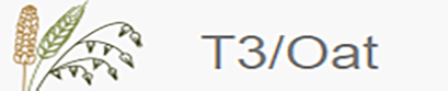 T3OAT