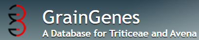 GrainGene